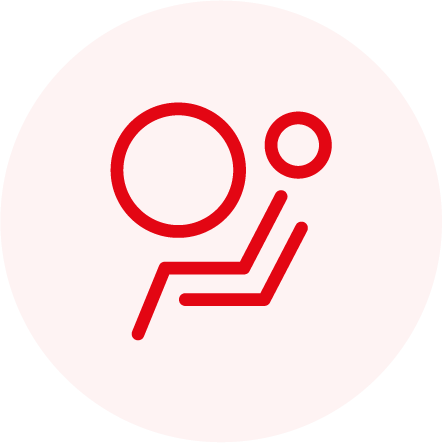 icon -Airbags